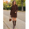 MEROKEETY Women’s Fall Long Sleeve Lace Oversized Casual Knit Sweater Dress | Patchwork, Crew Neck, Above Knee Length, Twofer Pullover, Ribbed, Drop Shoulder, Loose Fit, Soft, Cozy Winter Outfits 2026(Coffee)